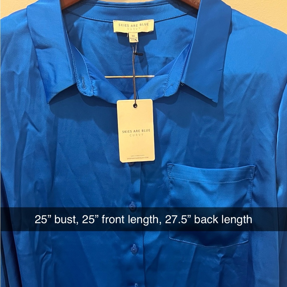 Skies are Blue Long Sleeve Blouse- NWT